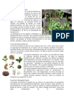 Plantas Comestibles