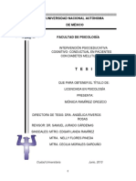 Tesis Intervención Cognitivo Conductual y Psicoeducación en Pacientes Con Diabetes Mellitus II