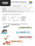 Evaluacion Naturales Animales