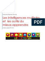 Dossier Intelligences Multiples