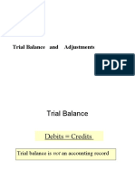 Fam Iii: Trial Balance and Adjustments