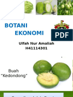 Botani Ekonomi Ulfah