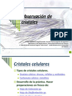 Práctica 4 Observación de Cristales