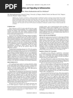 Nitric Oxide Production and Signaling in Inflammation