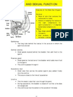 Sex and Sexual Function