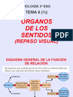 Biología 3ºESO: Órganos de Los Sentidos