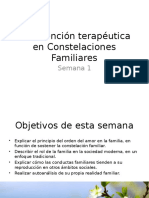 Constelaciones Familiares. Introducción Familia