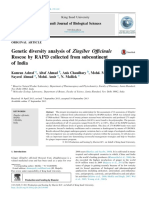 Genetic Diversity Analysis of Zingiber O Cinale Roscoe by RAPD Collected From Subcontinent of India