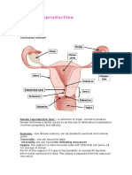 Female Reproductive System