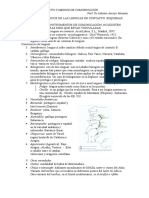 Lenguas en Contacto y Medios de Comunicación