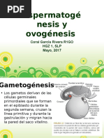 Espermatogenesis y Ovogenesis