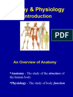 Anatomy & Physiology Intro. Powerpoint (Chapter 1)