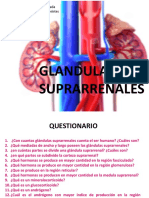 5A1 Glandulas Suprarrenales