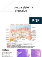 Histología Digestivo y Anexos