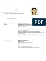 Curriculum Vitae, Diego Bonino