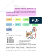 Fenómeno Primer Paso