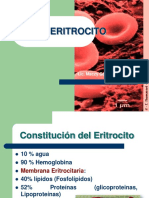 ERITROCITO Diapositivas