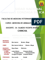 Medicina Animales Mayores 2017