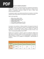 Materia Primas para La Industria Petroquimica