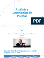 Análisis y Descripción de Puestos PDF