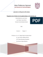 Regulación de La Síntesis de La B-Galactosidasa en Escherichia Coli