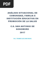 Análisis Situacional en Salud Promsa