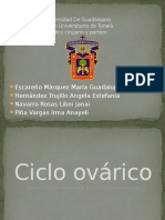 Ciclo Ovárico