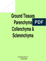 Parenchyma, Collenchyma and Sclerenchyma PDF