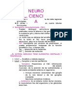 Neuro Resumen