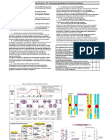 Fiche1 Theme1 A 1 Brassage Genetique PDF