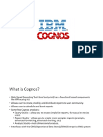 Into Cognos 1