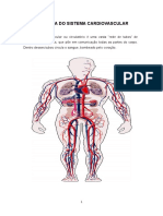 01 - Sistema Cardiologico - 20