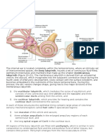 Internal Ear: Labyrinth (Figure 23-21) - The Membranous Labyrinth Is Derived From An Ectodermal