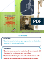 Clase Articulaciones Miembro Superior PDF