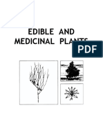 Edible and Medicinal Plants