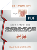 Sindrome de Intestino Corto Listo