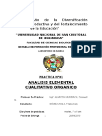 Analisis Cualitativo Organico