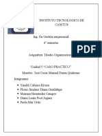 Metodologia para Creacion e Innovacion de Estructuras Organizacionale Caso Practico