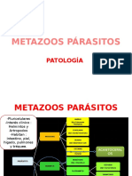 Metazoos Párasitos