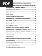 Formularios para Audiencias Del Sistema Penal Acusatorio