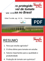 Cultivo Proetegido de Tomate