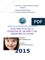 Guia de Practica Clinica de La Atencion de Un Niño Con Sindrome de Down