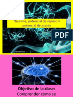 PDF Neurona y Potencial de Acción