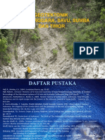 Geotektonik NT Savu Sumba Timor 2009