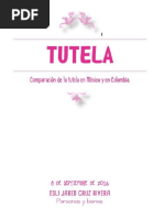 Tutel Colombia Mexico