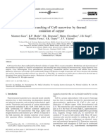 Growth and Branching of Cuo Nanowires by Thermal Oxidation of Copper