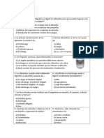 Prueba Sistema Digestivo y Nutricion