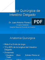 11 Patologia QX Intestino Delgado