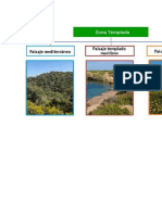 Las Diferentes Zonas Climáticas TEMPLADAS