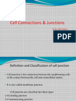 Cell Junctions